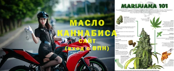 амф Володарск