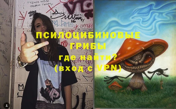 гидра Волоколамск