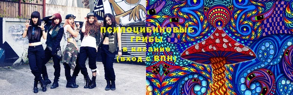 амф Володарск