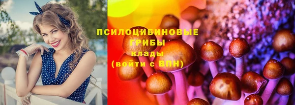 гидра Волоколамск