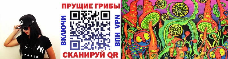 Галлюциногенные грибы Psilocybe  МЕГА ТОР  Каспийск 