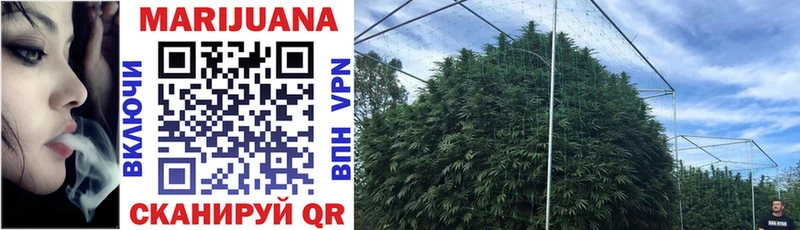 darknet клад  omg вход  Марихуана Ganja  Каспийск  купить  